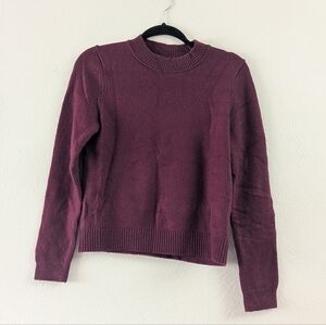 Banana Republic Rich Plum Crew Neck Sweater
